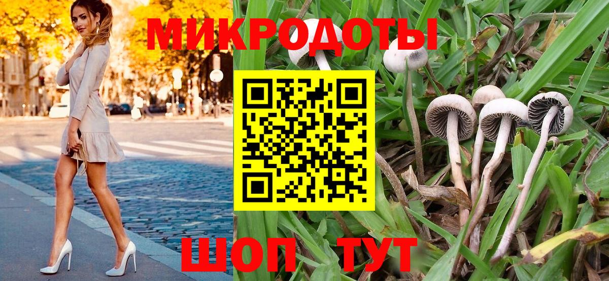 Хабаровск  Галлюциногенные грибы прущие грибы  Вход с VPN 